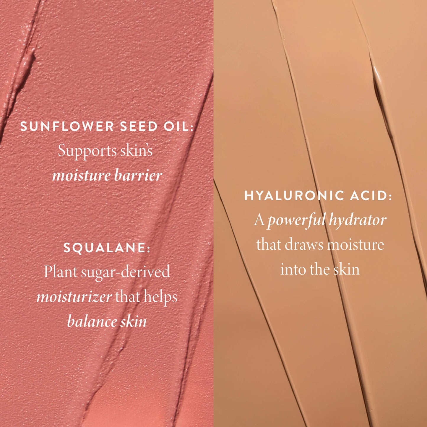 Fresh & Hydrated Face Essentials Kit (3 PC)